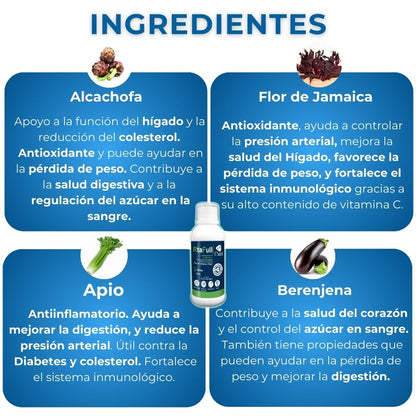 Desintoxica Hígado, Colon y Riñones de Forma Natural